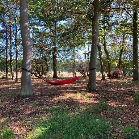 Zum Heuerling Ferienwohung im alten Stall mit Sauna Versmold Exterior foto
