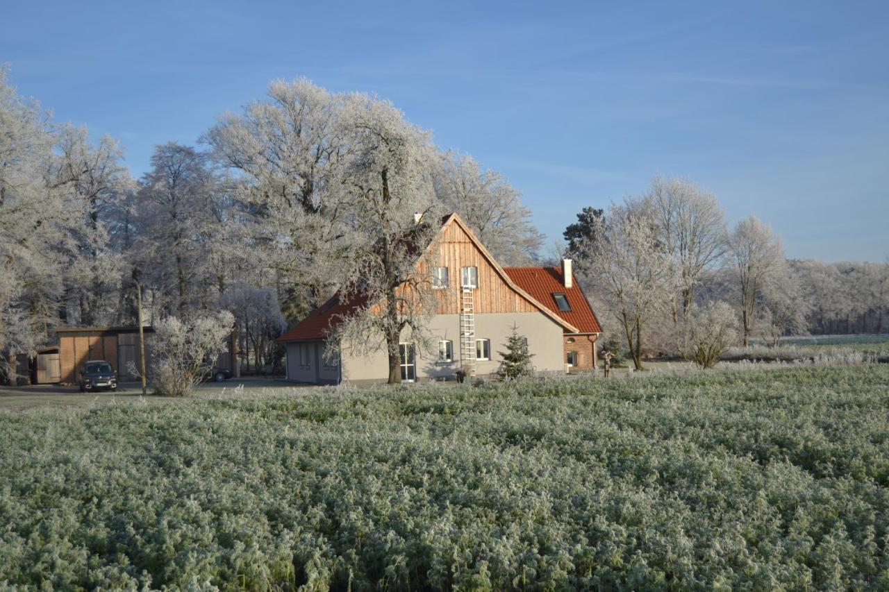 Zum Heuerling Ferienwohung im alten Stall mit Sauna Versmold Exterior foto