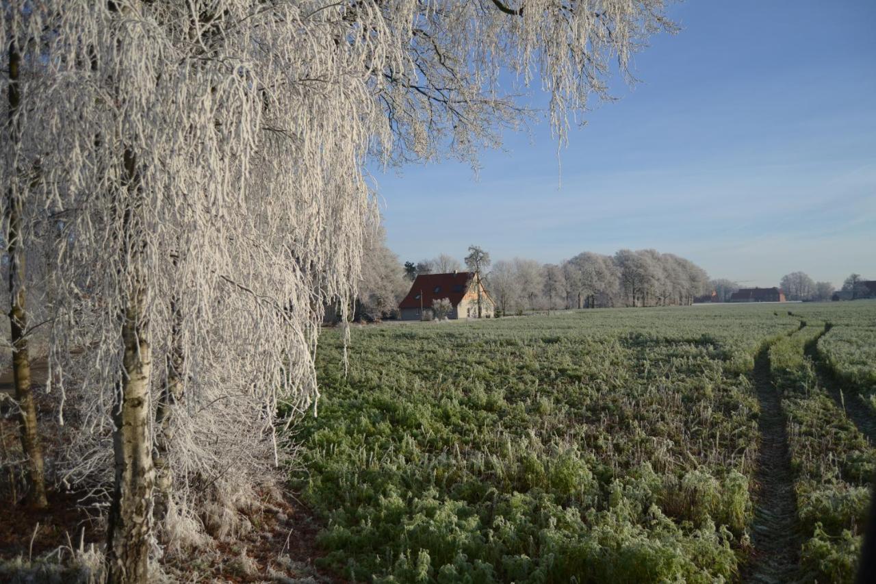 Zum Heuerling Ferienwohung im alten Stall mit Sauna Versmold Exterior foto